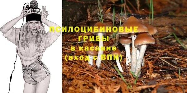 гидропоника Алексин