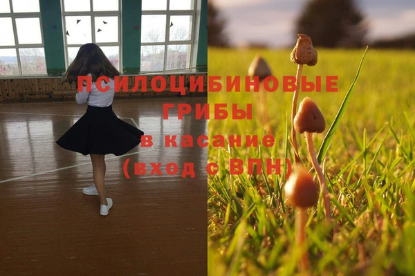 а пвп мука Алексеевка