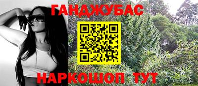 гидра Кимры
