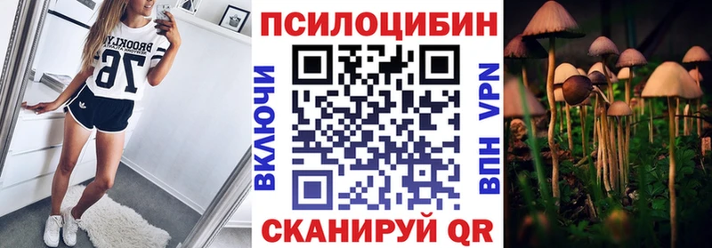 Псилоцибиновые грибы Psilocybe  Люберцы 