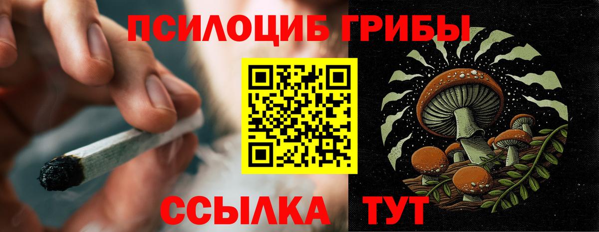 Псилоцибиновые грибы GOLDEN TEACHER  Вход с VPN  Псилоцибиновые грибы GOLDEN TEACHER  Люберцы 